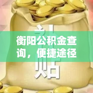 衡阳公积金查询，便捷途径与管理应用解析  第1张