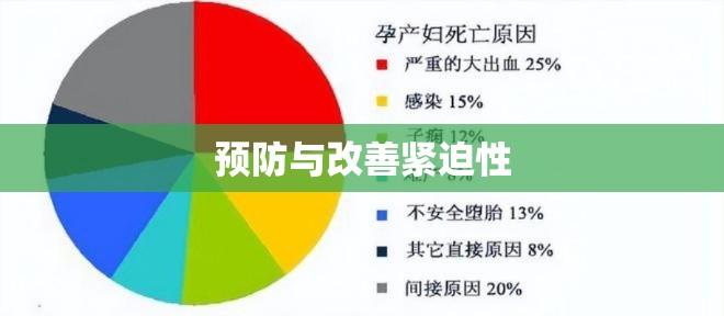 产妇死亡背后的深思，预防与改善的紧迫性  第1张