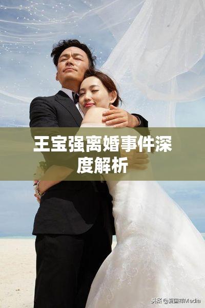 王宝强离婚事件深度解析，反思背后的社会问题与人性挑战  第1张