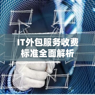 IT外包服务收费标准全面解析  第1张