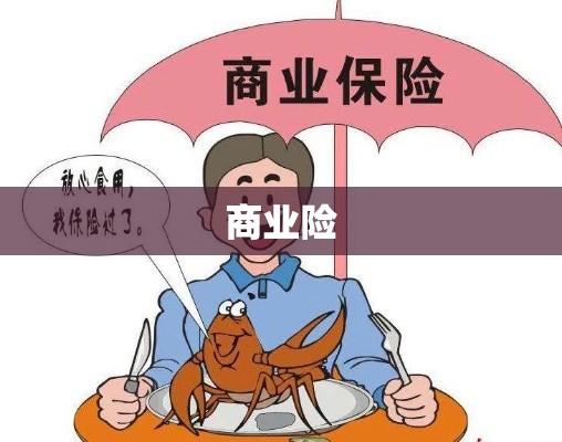 商业险，企业稳健发展的关键护航力量  第1张