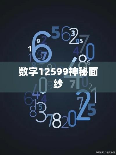 解密数字世界中的宝藏，揭开数字12599的神秘面纱  第1张