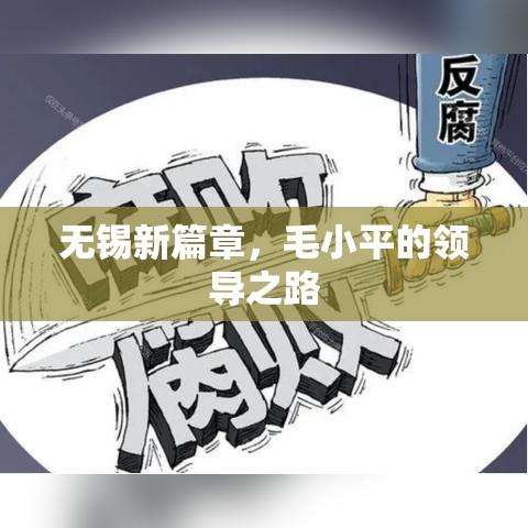 无锡新篇章，毛小平的领导之路  第1张