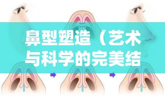 鼻尖整形咨询，艺术与科学的完美鼻型塑造  第1张