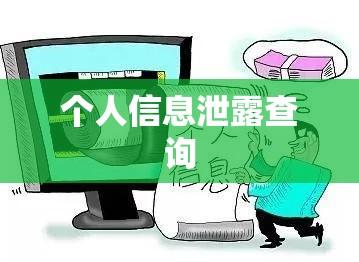 个人信息泄露查询与数字身份保护指南  第1张