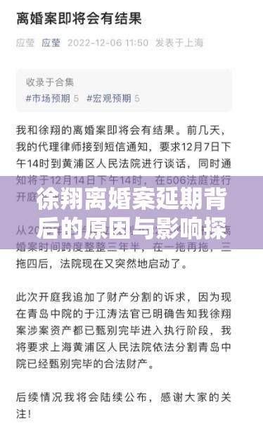 徐翔离婚案延期背后的原因与影响探究  第1张