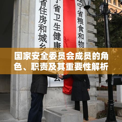 国家安全委员会成员的角色、职责及其重要性解析  第1张