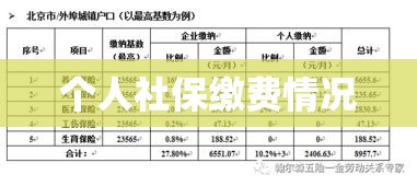 揭秘2021年社保缴费明细表，洞悉个人社保缴费情况全貌  第1张