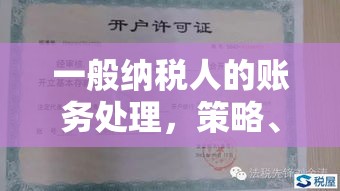 一般纳税人的账务处理，策略、实践与优化指南  第1张