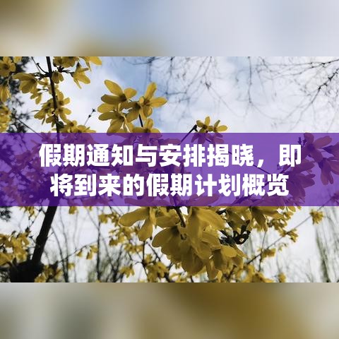 假期通知与安排揭晓，即将到来的假期计划概览  第1张