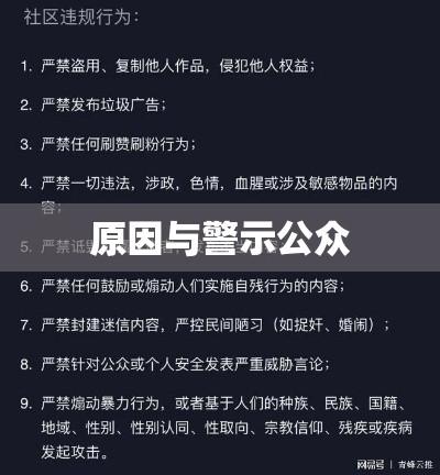 抖音用户信息侵害事件，探究原因与警示公众  第1张