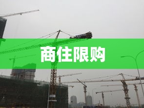 商住限购，重塑房地产平衡的关键之策  第1张