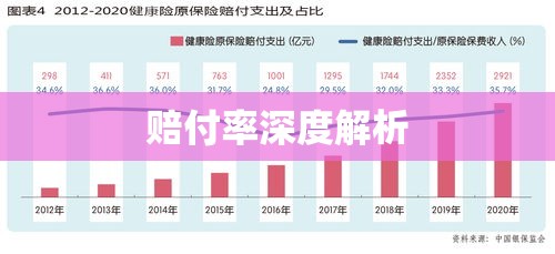 赔付率深度解析，含义、影响因素及其在保险业务中的核心地位  第1张