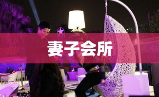 妻子会所陪酒，现代社交新形态探究  第1张