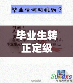 毕业生转正定级，职场生涯的新篇章  第1张