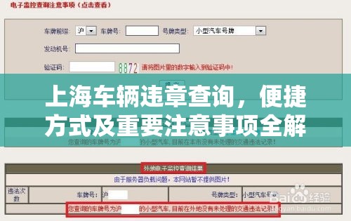 上海车辆违章查询，便捷方式及重要注意事项全解析  第1张