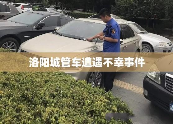 洛阳城管车遭遇不幸事件，深度剖析与反思  第1张