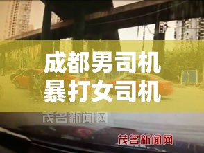 成都男司机暴打女司机事件，深度剖析与反思启示  第1张