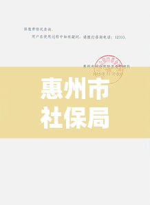 惠州市社保局，社会保障体系的稳固基石  第1张