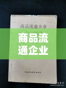 商品流通企业会计制度的重要性及实施策略探讨  第1张