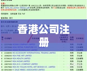 香港公司注册查询系统指南  第1张