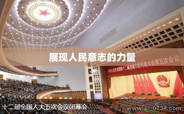 第十二届全国人民代表大会第五次会议，推动国家发展，展现人民意志的力量  第1张