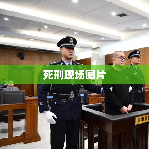 死刑现场图片背后的正义与复杂情感探究  第1张