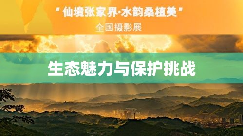 八大公山国家级自然保护区的生态魅力及其保护挑战  第1张