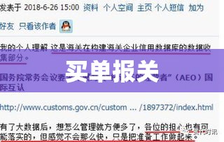 买单报关，深度解析及实践应用探讨  第1张