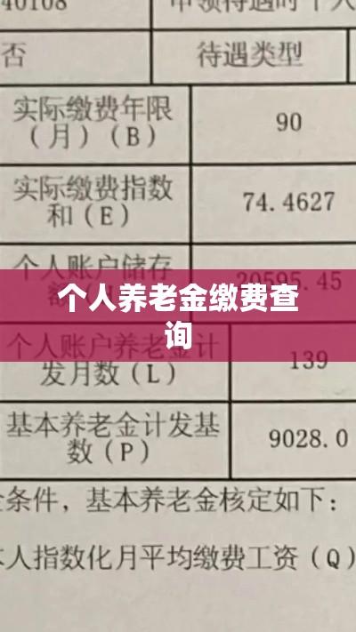 个人养老金缴费查询，轻松操作，实时掌握资金动态  第1张