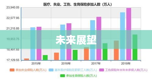 成都社会保险查询，便捷之路与未来展望展望  第1张