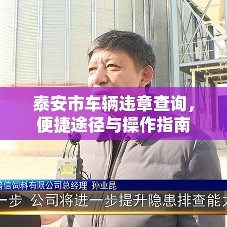 泰安市车辆违章查询，便捷途径与操作指南  第1张