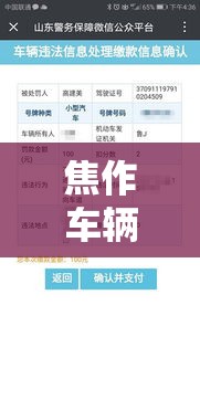 焦作车辆违章查询，便捷途径与实用指南解析  第1张