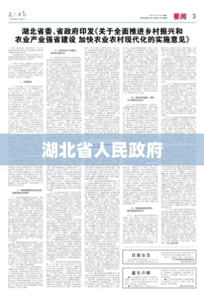 湖北省人民政府引领发展，筑梦未来新篇章  第1张