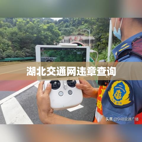 湖北交通网违章查询，便捷高效，护航交通安全之路  第1张