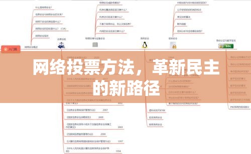 网络投票方法，革新民主的新路径  第1张