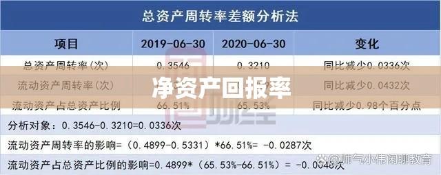 探究净资产回报率的重要性及优化运用策略  第1张