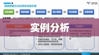 某企业营销策略成功之道深度探究与实例分析  第1张