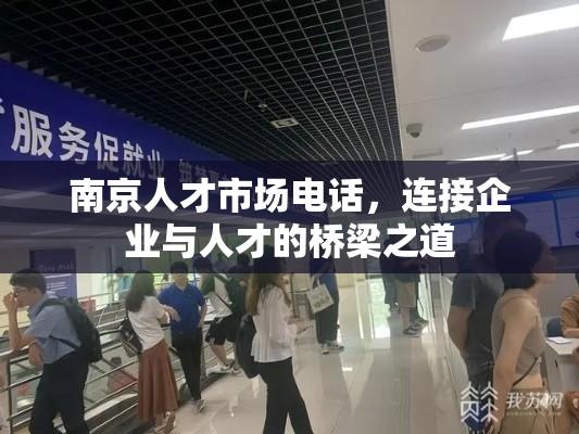 南京人才市场电话，连接企业与人才的桥梁之道  第1张