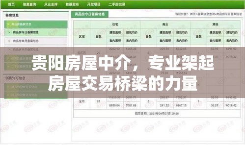 贵阳房屋中介，专业架起房屋交易桥梁的力量  第1张