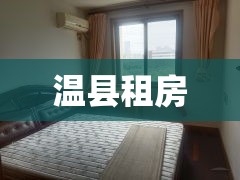 温县租房，探索与选择的指南  第1张