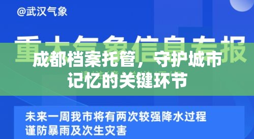 成都档案托管，守护城市记忆的关键环节  第1张