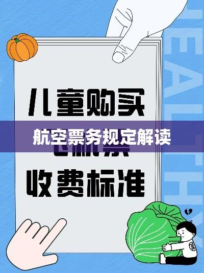 解读航空票务规定，儿童飞机票权益保障详解  第1张