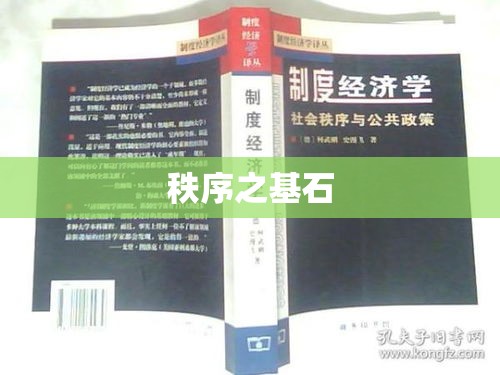 禁止的力量，社会规则与秩序之基石  第1张