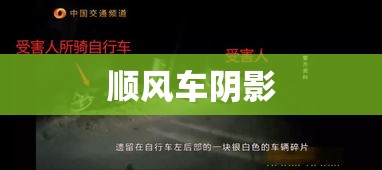 顺风车阴影下的杀人事件深度解析  第1张