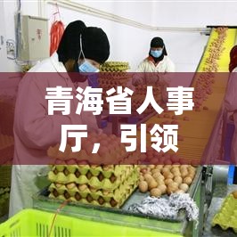 青海省人事厅，引领人才发展，助力地方繁荣新篇章  第1张