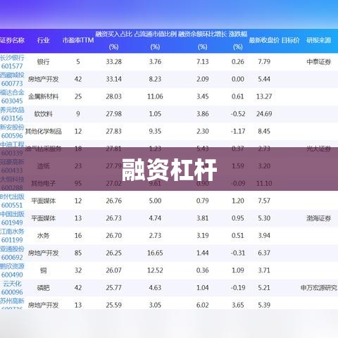 融资杠杆，金融市场的双刃剑效应探究  第1张