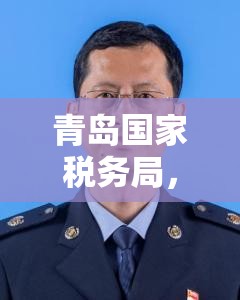 青岛国家税务局，税收工作的杰出典范  第1张