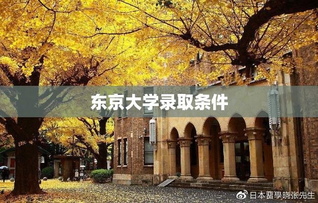 东京大学录取条件解析，入学门槛与要求探索  第1张