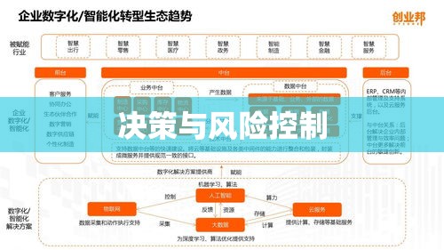 智能化投注系统，决策与风险控制的核心要素  第1张